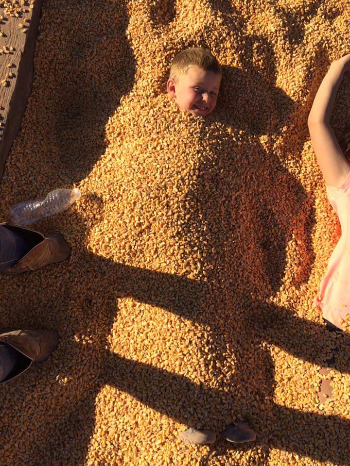 Corn Pit & Playground at Moapa Valley Cornmaze